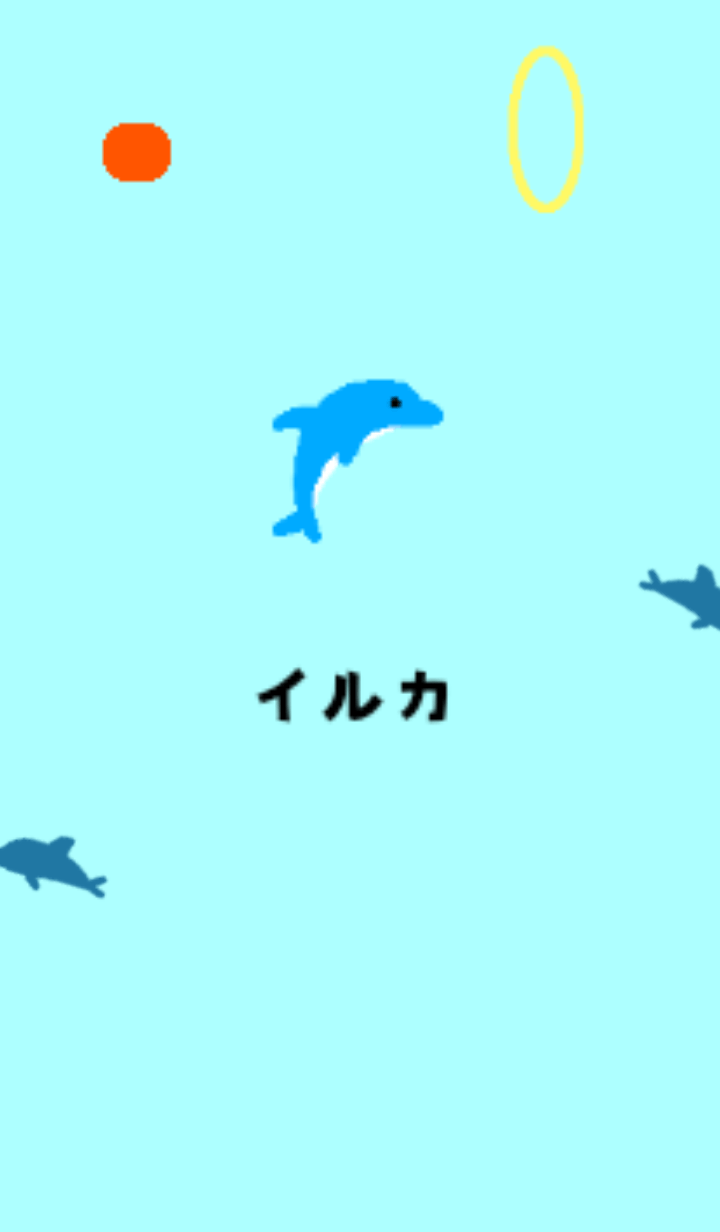 Dolphin show
