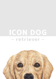 ICON DOG - golden retriever - GRAY/02