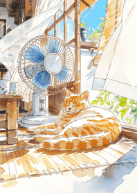 紫色 夏風日光貓咪