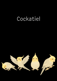 black かわいいオカメインコ2