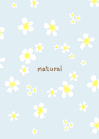 A white floret dances13 from Japan