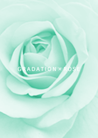 Rose and gradation bluegreen20_2