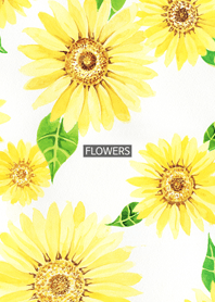 water color flowers_51