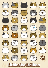 うちのこいちばん（ねこ編）