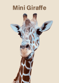 Mini Giraffe 4