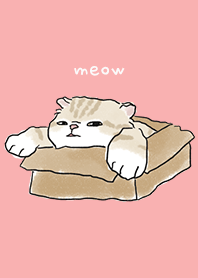 neko drawing4 - coral