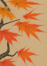 Maple   7f2F65