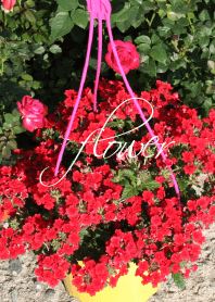 red flower!