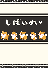 Shiba Inu - Dark Gray Brown (Be3)