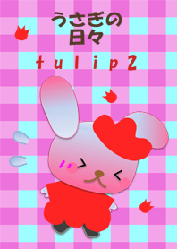 Rabbit daily(Tulip2)