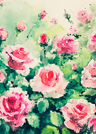 Beautiful rose flower(R4168)