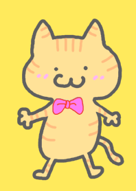 I am crazy about a cat