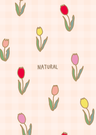 lots of tulips27 from Japan