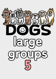 犬達、大集合　5