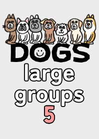 Dogs,large groups 5.