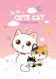 แมวเหมียว สายไหม พิ้งค์เลดี้