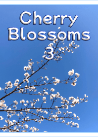Cherry Blossoms Photo Theme 3 (White)