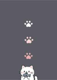 Cute white fluffy cat