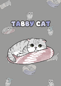 tabbycat9 / dim grey