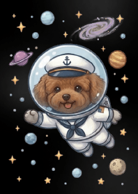 Red Poodle & Teddy Space Exploration