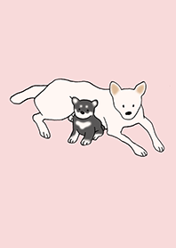 Dogs Shiba Inu_Pink