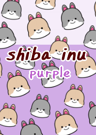 shibainu dog theme18 purple