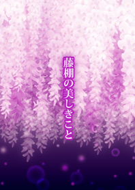 藤棚の美しきこと