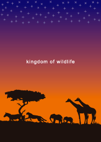 Kingdom of wildlife