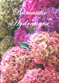 Romantic Hydrangea