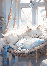 睡覺的優雅白貓❤