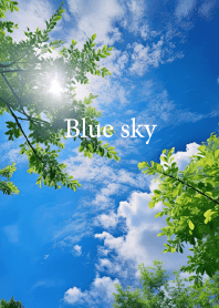 青い空 vol.15