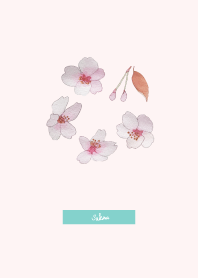 Sakura's theme. watercolor
