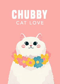 Chubby Cat Love