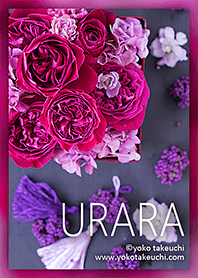 URARA-日式玫瑰-