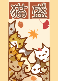 大量的貓 9 貓的集會