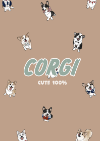 corgicorgi7 - light mocha