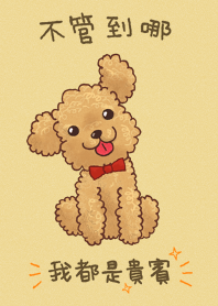 I Love Toy Poodle(1)