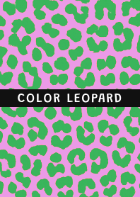 COLOR LEOPARD THEME @6
