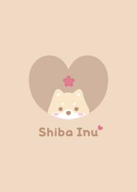 柴犬2 櫻花 [橘子 黃色]