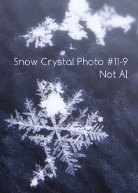 Snow Crystal Photo #11-9Not AI
