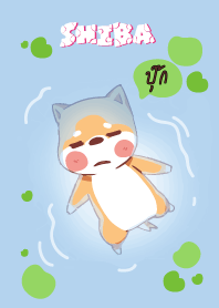 ปุ๊ก ใครไม่บะ ชิบะ 4 V10