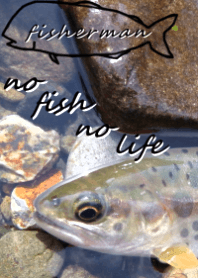 ヤマメ・アマゴ 等々！ 川魚な日々