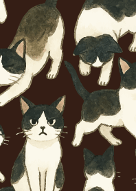 tuxedo cats06 on brown