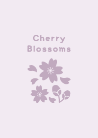 Cherry Blossoms17<PurplePink>