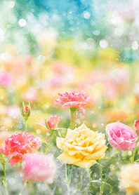 Beautiful rose flower(R5871)