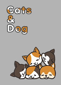 Grey Cats & Dog