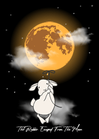 The Rabbit Escaped From The Moon
