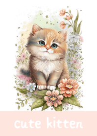 柔和風可愛小貓咪