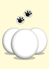 toy poodle etc(@ Pets Grand Prix)