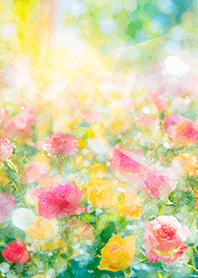 Beautiful rose flower(R5554)